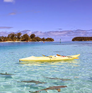 Meet your Posher, Maeci